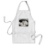 Eggies Apron