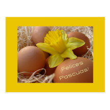 Eggs and daffodil easter greeting - spanish postcard