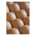 Eggs business cards