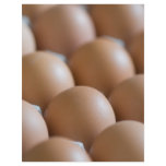 Eggs flyers