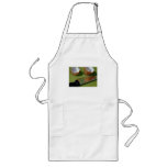 EGGS: KNIFE: STILL LIFE: APRON