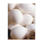 Eggs postcards