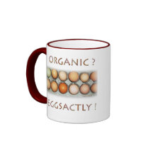 EGGSACTLY MUG