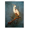 Egret cards
