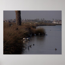 Egret Gathering Print