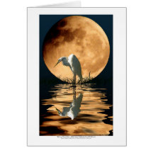 EGRET & GOLDEN MOON ~ Greeting-cards & Note Cards