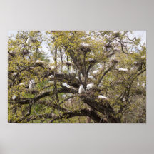 egret group posters