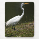 Egret Mousepad