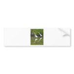 Egret Partners bumper stickers
