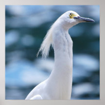 Egret Poster