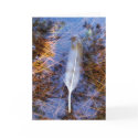 Egret's Feather cards
