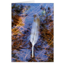 Egret's Feather Card