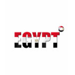 Egypt 2014 World Cup Brazil Soccer Football Flag t-shirts