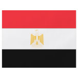 Egypt Flag Full Color Flyer