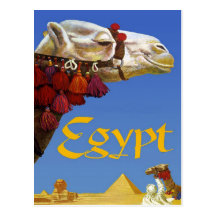 Egypt Post Card