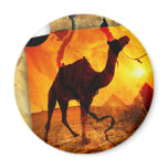 Egyptian camel magnets