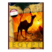 EGYPTIAN CAMEL POSTCARDS