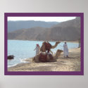 Egyptian Camels poster FROM 14.95 posters