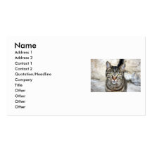 Egyptian Cat Business Card