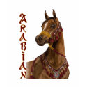 Egyptian Dream Arabian horse tee-shirt