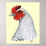 Egyptian Fayoumi:  Silver Hen Print