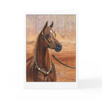 Egyptian Princess Arabian horse greeting card