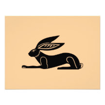 Egyptian Rabbit Announcements