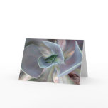 Eid greeting cards