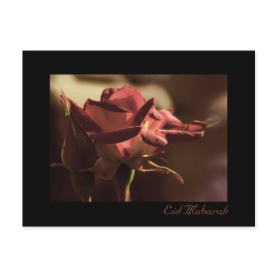 Eid Mubarak - red rose postcard by Rainmountain