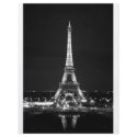 Eiffel Tower at Night - B/W flyers