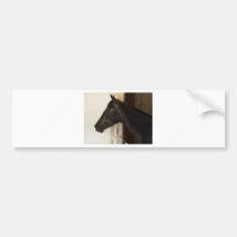Eight Belles 2 Bumper Sticker