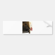 Eight Belles Bumper Stickers