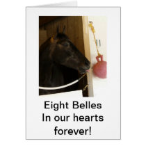 Eight Belles Card