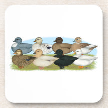 Eight Call Ducks Beverage Coaster