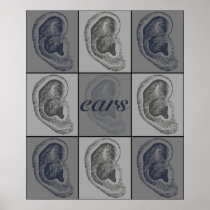 Eight Ears