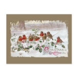 Eight English Robins on Holly Vintage Christmas Postcard