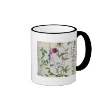 Eight Studies of Wild Flowers Coffee Mugs