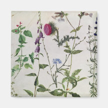 Eight Studies of Wild Flowers Magnet