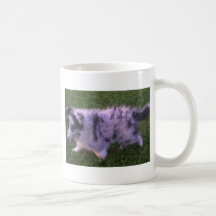 Ein süßer kleiner baby shelty kaffee haferl