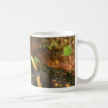 Einstein 01 coffee mugs