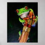 Einstein the Red-Eyed Tree Frog Fine Art Prints