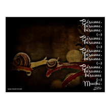 El corazón del caracol (...) tarjetas postales