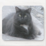 el gato negro [watercolour] mousepads