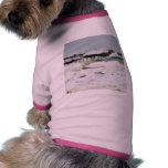 El Nino Waves Piers Ocean Seagulls Cafes pet clothing