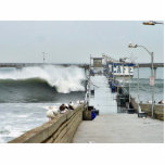 El Nino Waves Piers Ocean Seagulls photo sculptures