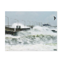 El Nino Waves Postcards