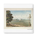 El Pinal Vineyard, San Joaquin County magnets