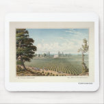 El Pinal Vineyard, San Joaquin County mousepads