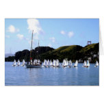 El Toro Race San Francisco Bay cards