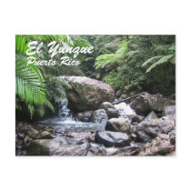 El Yunque, Puerto Rico Post Card